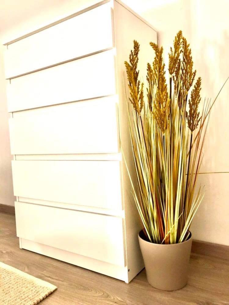 Rose Apartmann Apartament Budapeszt