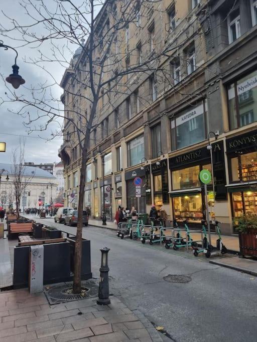 Danube Dwelling Asboth 19-1 *