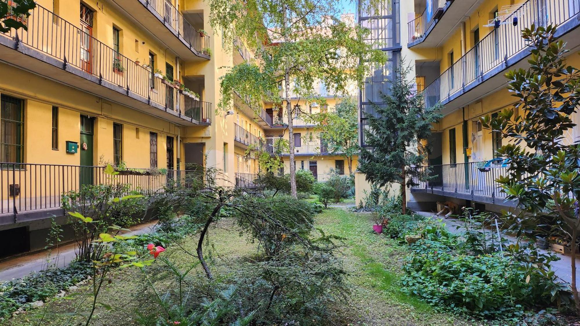 Buda Garden *