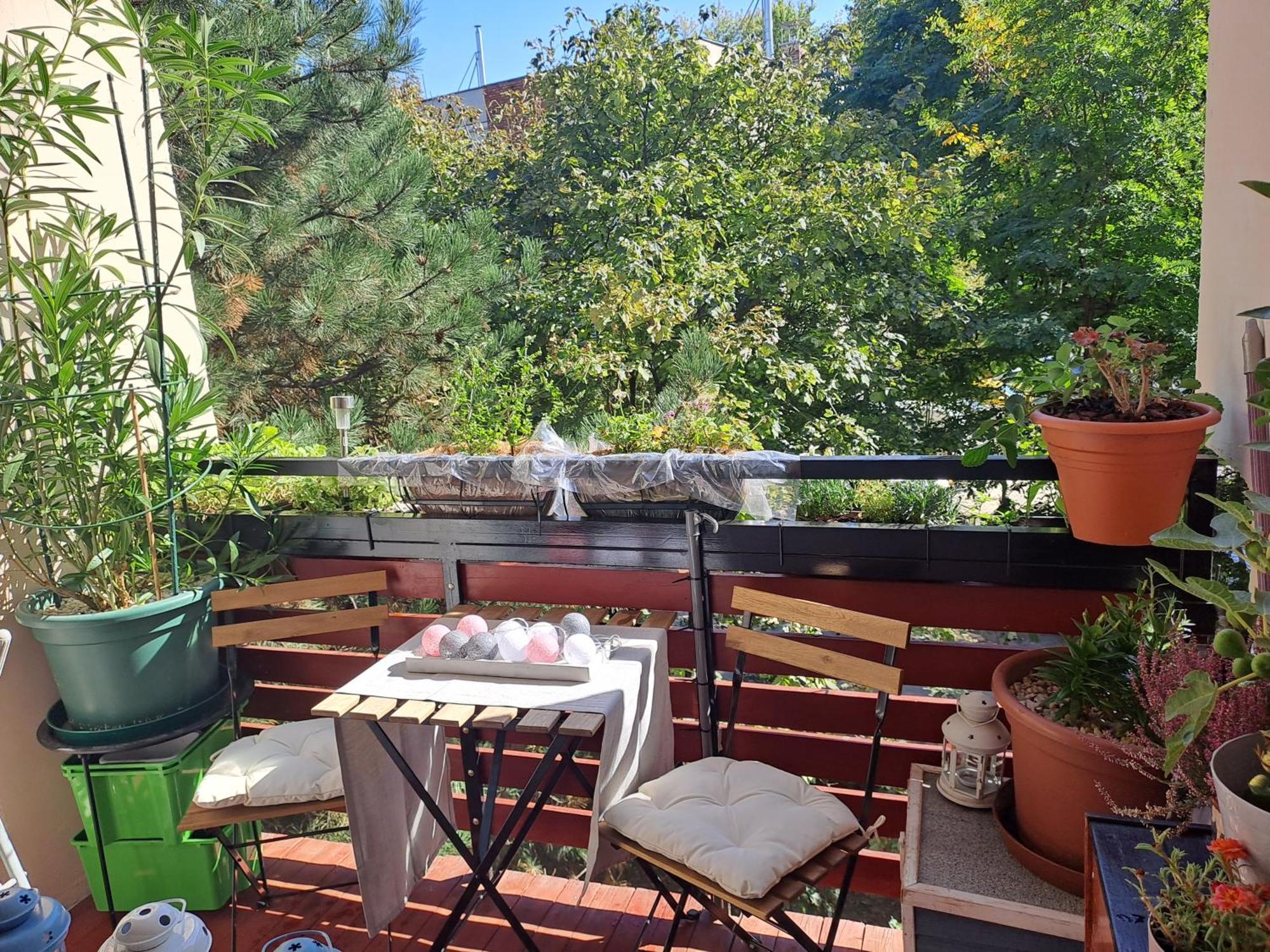 Cozy * Budapest