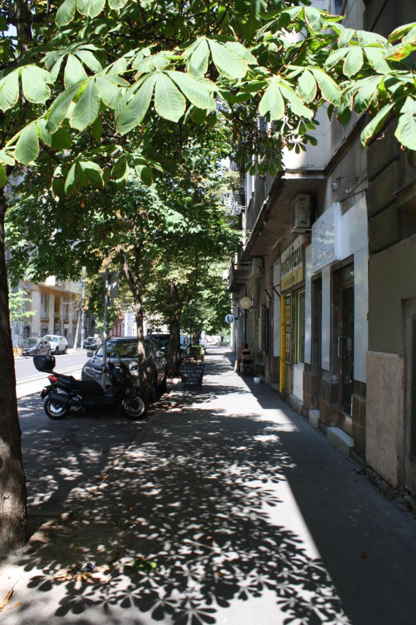 Apartamento 5 *