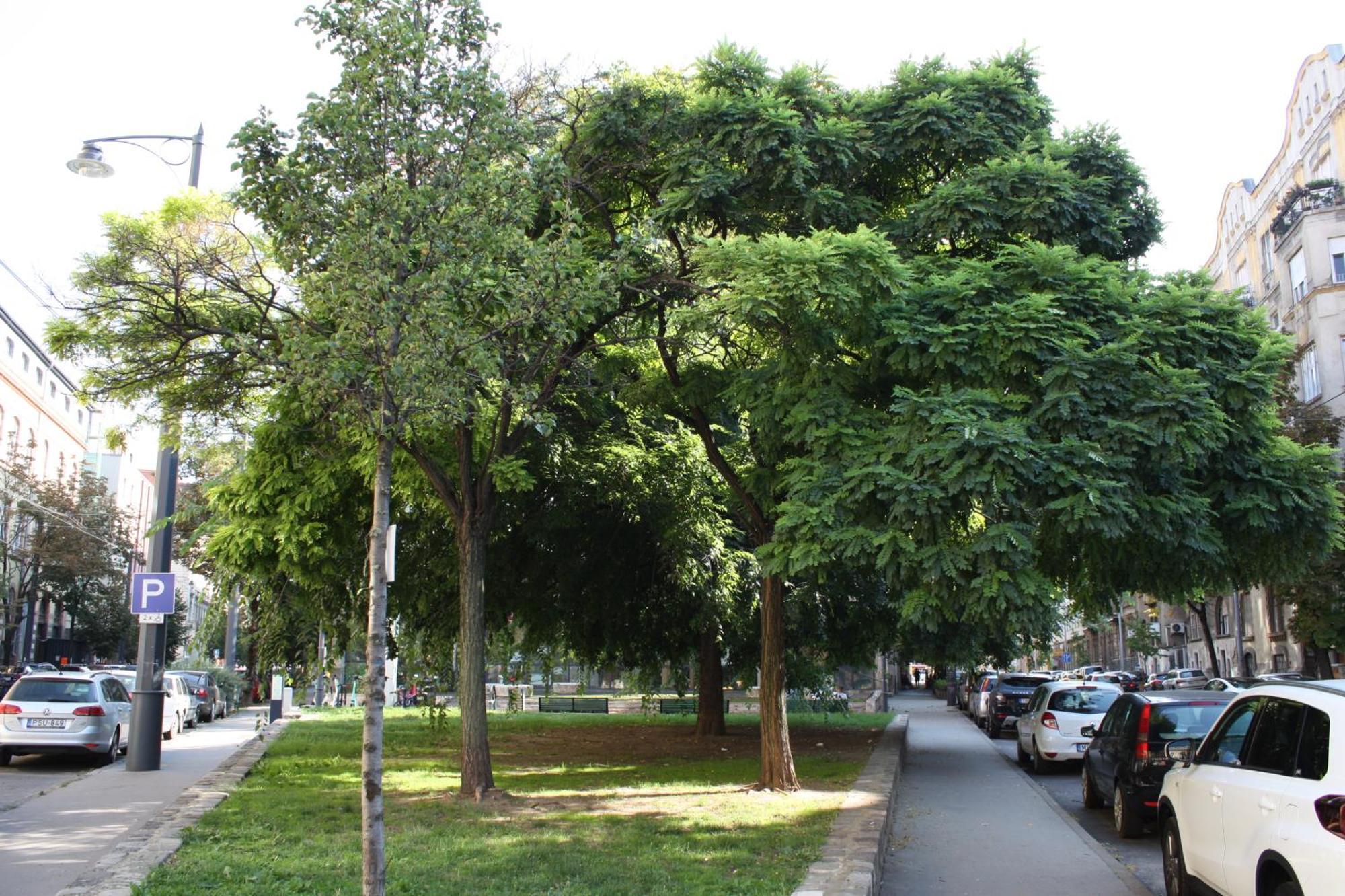 5 Apartamento