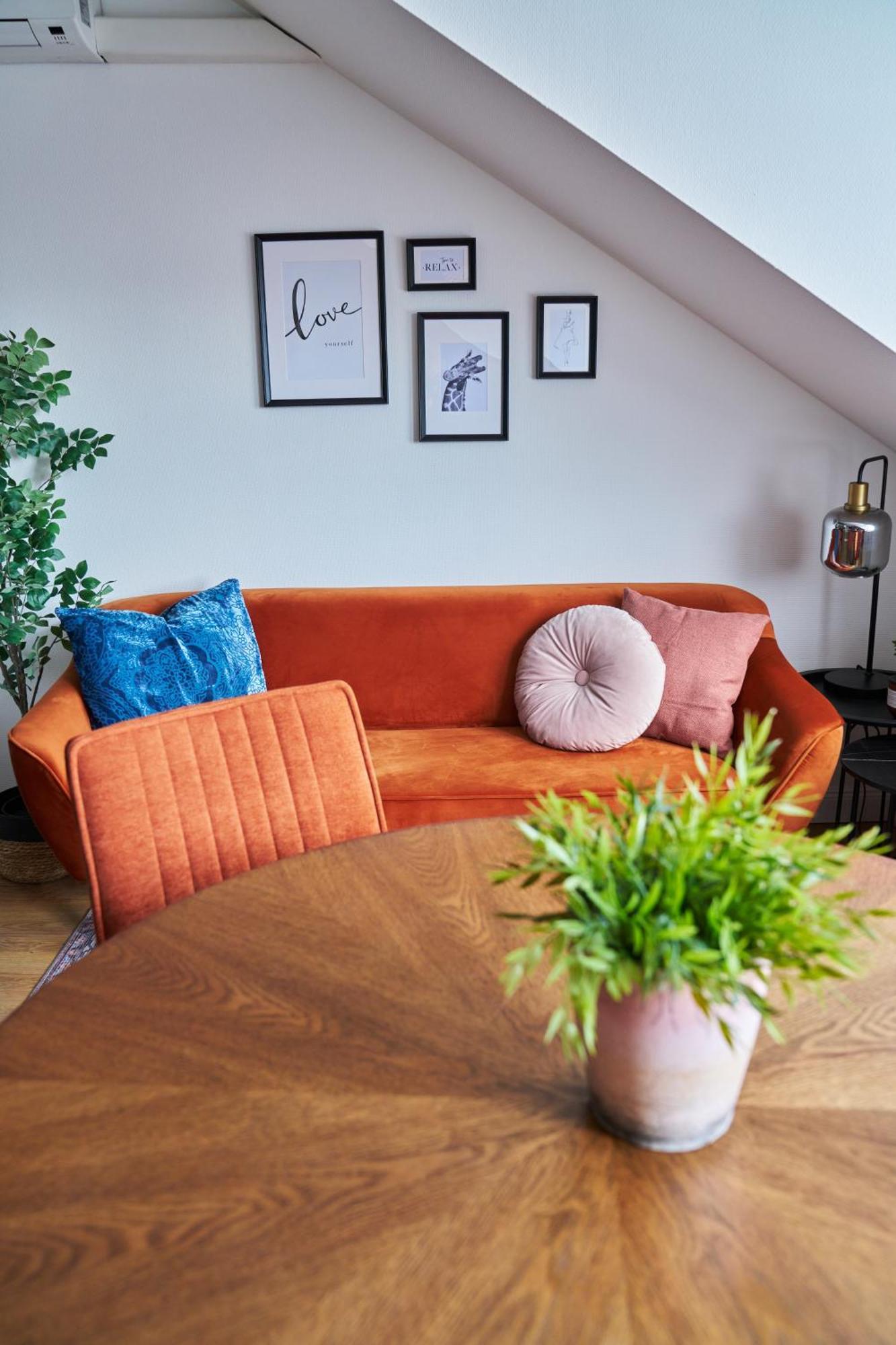 Animal Planet By Stn Apartamento *