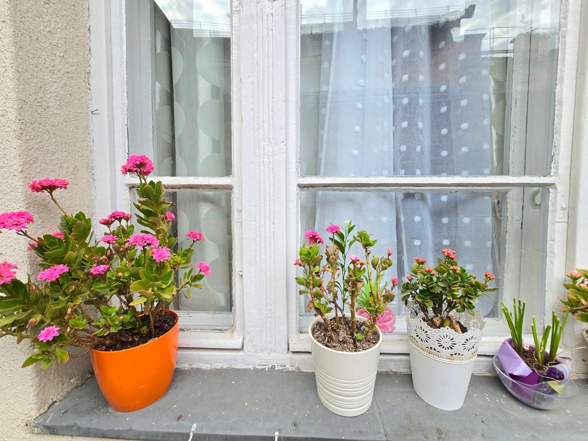 Cozy Nest Hideaway Budapest