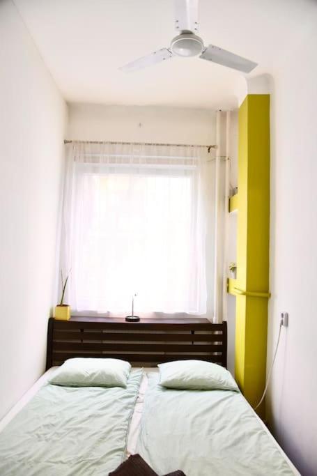 Gabona Downtown By Nw *