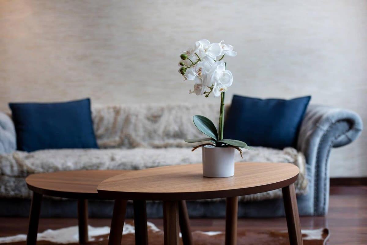 Apartment Luxy Design