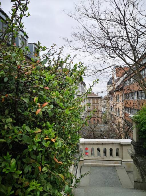 Apartmán Castlehill1011- Free Parking And Ac In The Inner City *