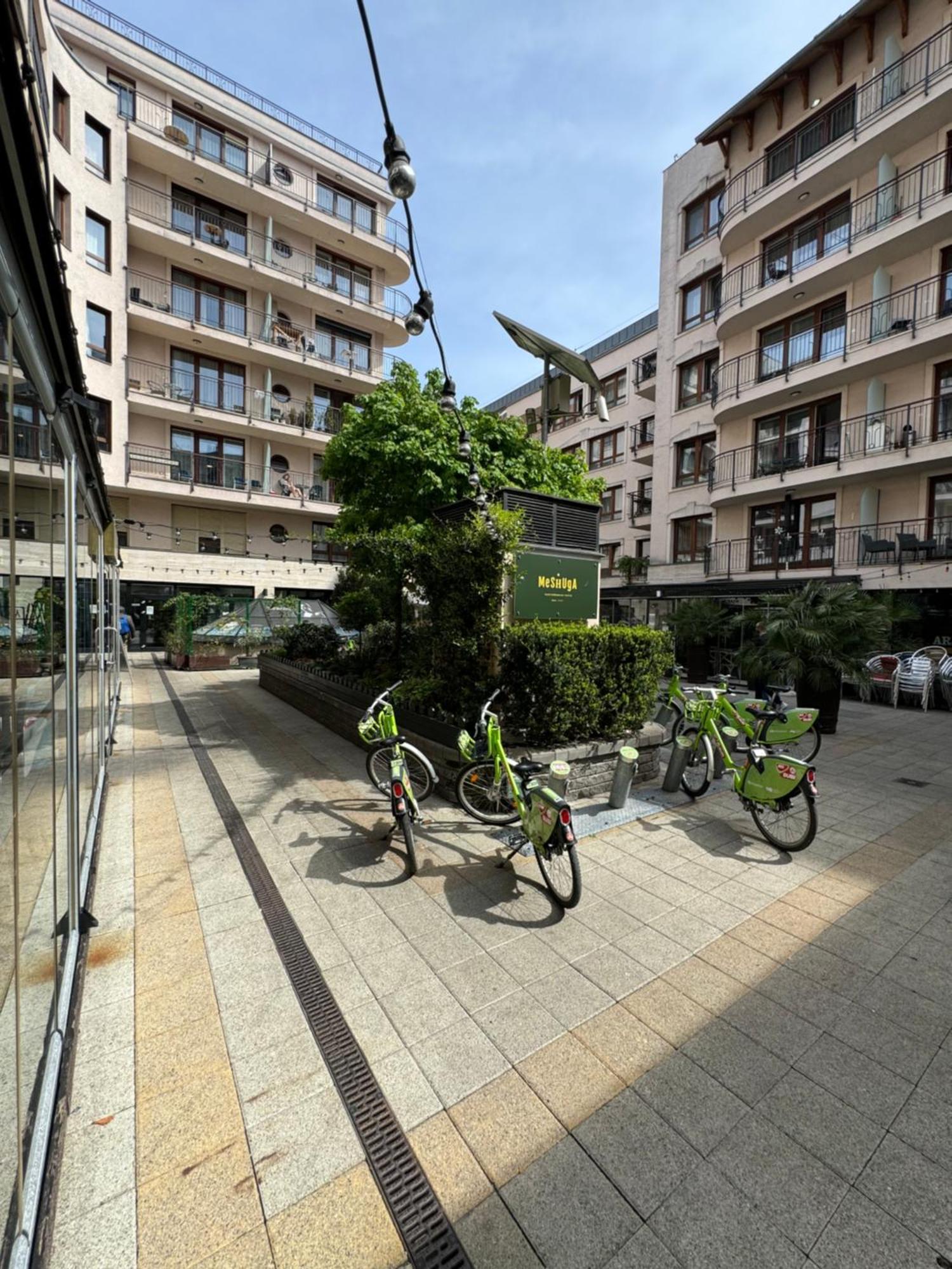 Apartament Downtown Family *