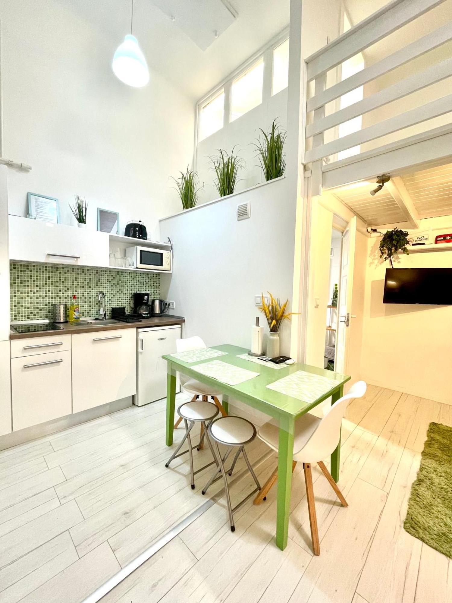 Apartment Teresian Near The Andrassy Street Free Air Conditioner Free Coffee Budapest