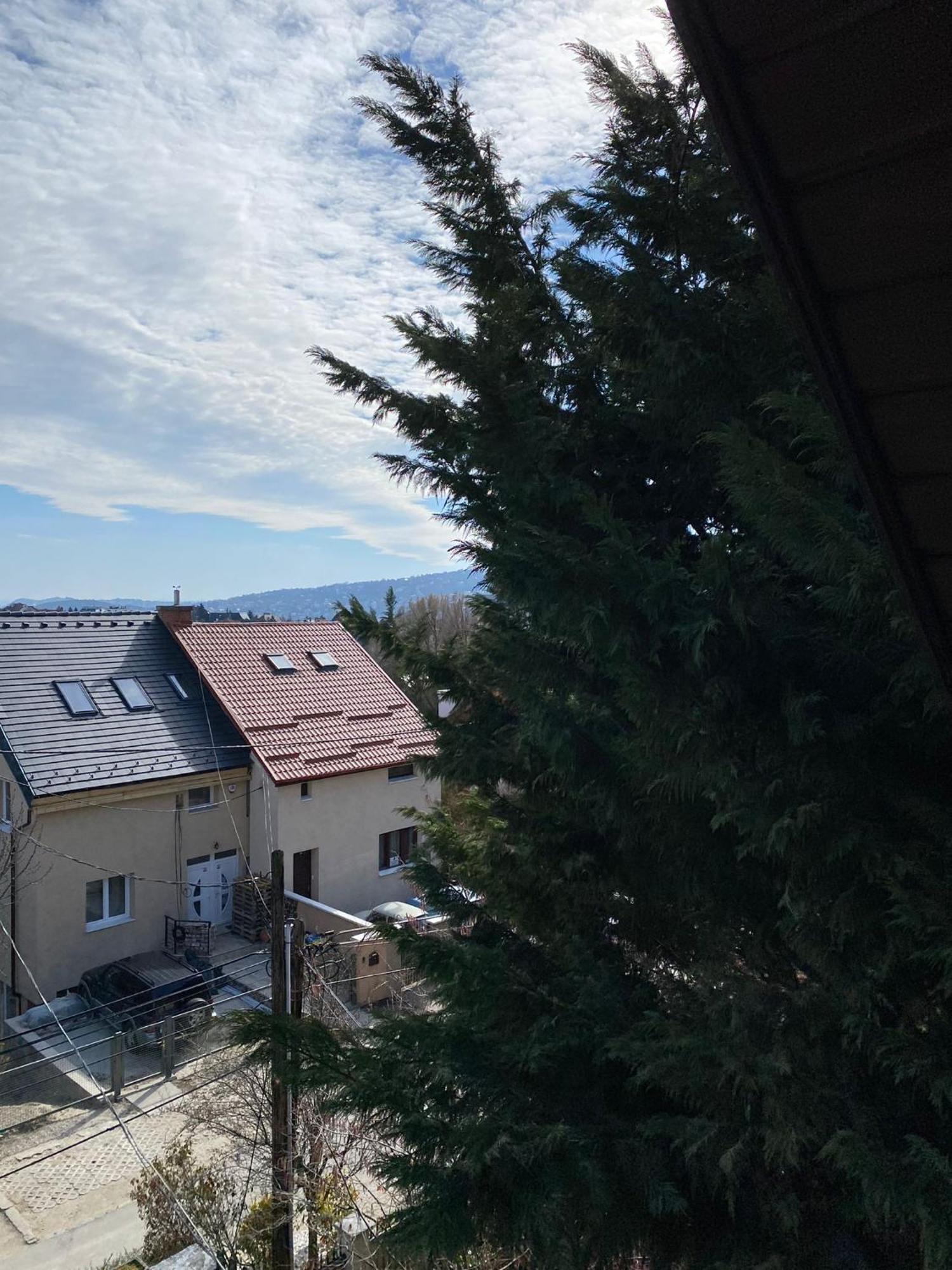 Luxury 3 Bedroom In A Forest 10min Drive From Center Villa *