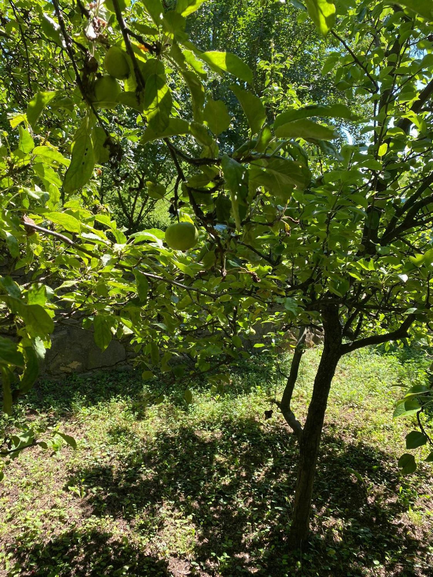 Luxury 3 Bedroom In A Forest 10min Drive From Center Villa Budapest
