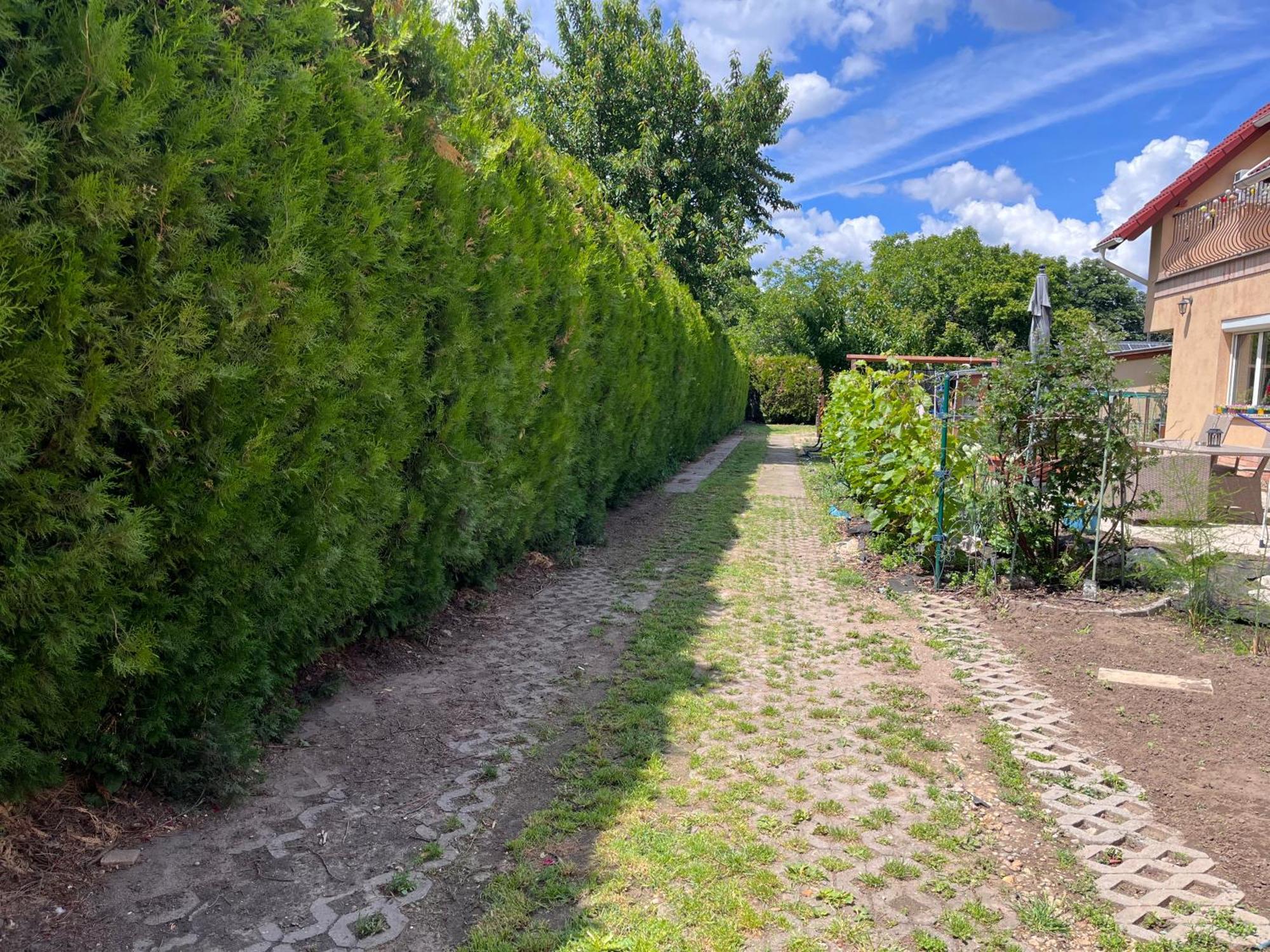 Garden Budapest