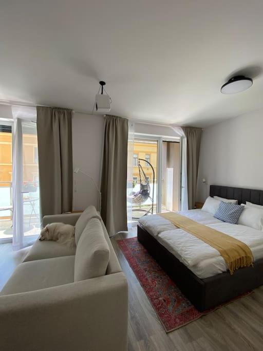 Zene Lux Vinyl Record Player & Projector Apartamento Budapest