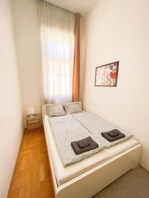 Spacious In A Vibrant Center Apartment *
