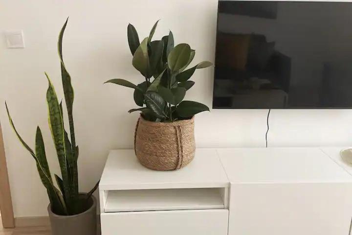 Apartment Fun & Comfort Centre *