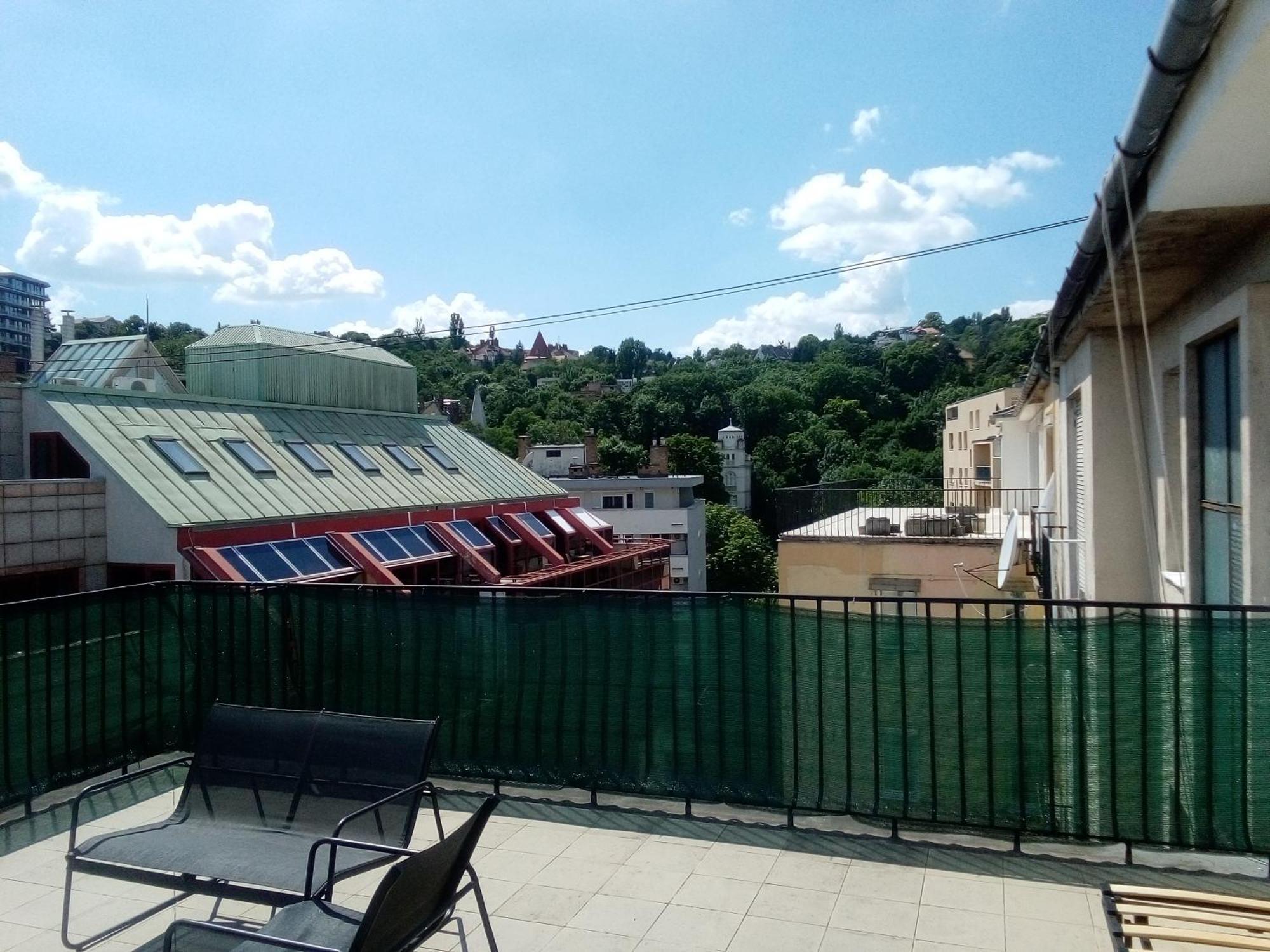 A Rooftop Near Danube And Margareth Island Budapest