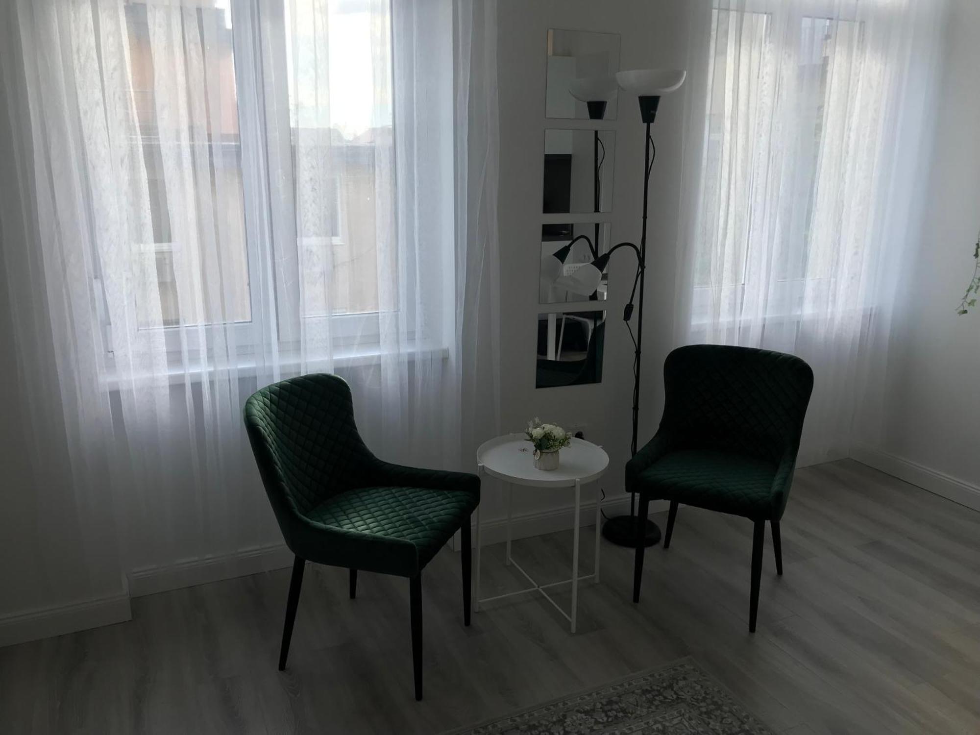 Apartment Beautiful Newly Refurbished Studio,fully Equipped Walking Distance To The Park Where Will Find The World Famous Szechenyi Thermal Bath Spa, Museums , And The Capital Circus , Ac, Smart Tv, High Speed Internet Budapest
