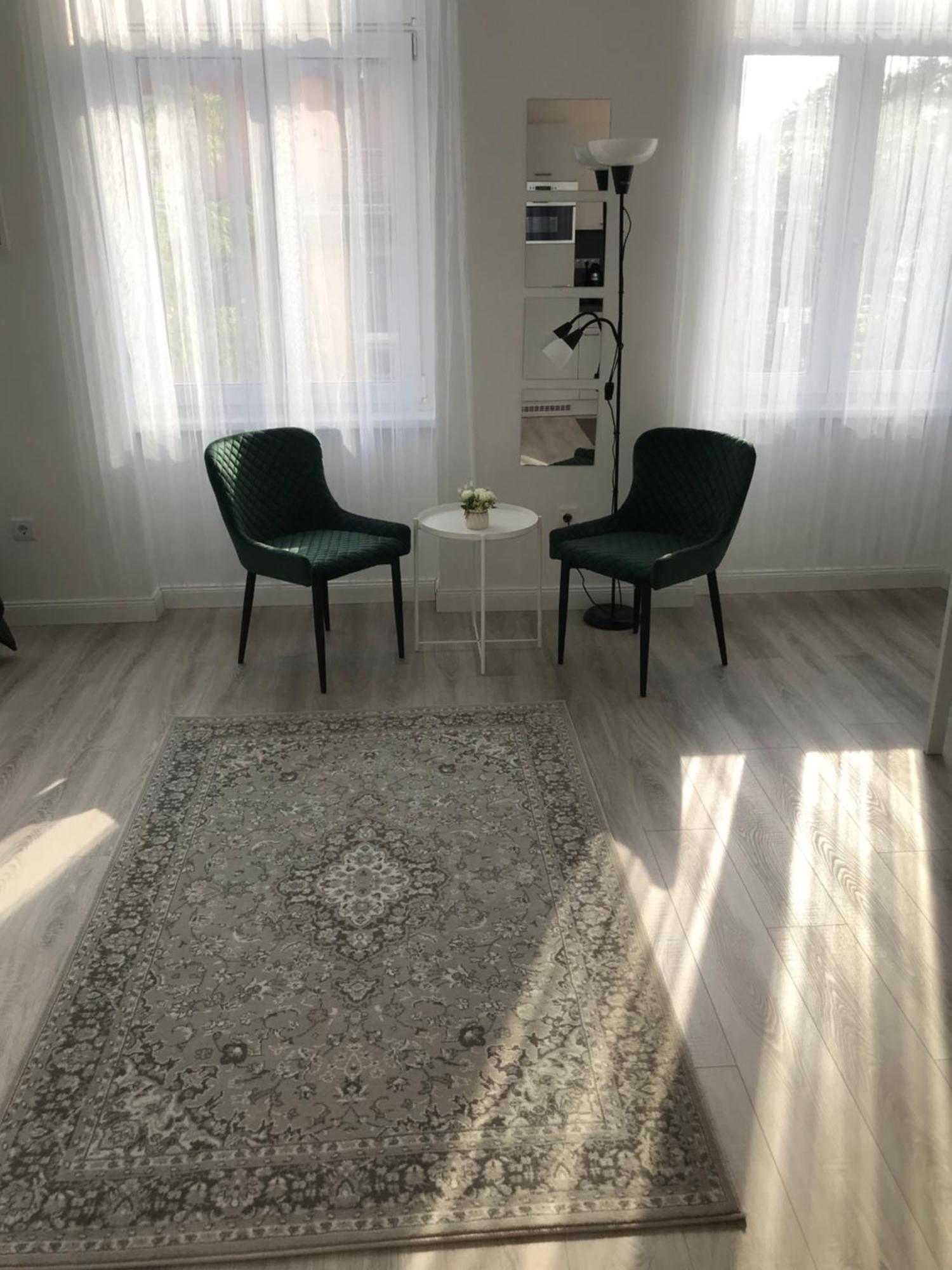 Beautiful Newly Refurbished Studio,fully Equipped Walking Distance To The Park Where Will Find The World Famous Szechenyi Thermal Bath Spa, Museums , And The Capital Circus , Ac, Smart Tv, High Speed Internet * Budapest