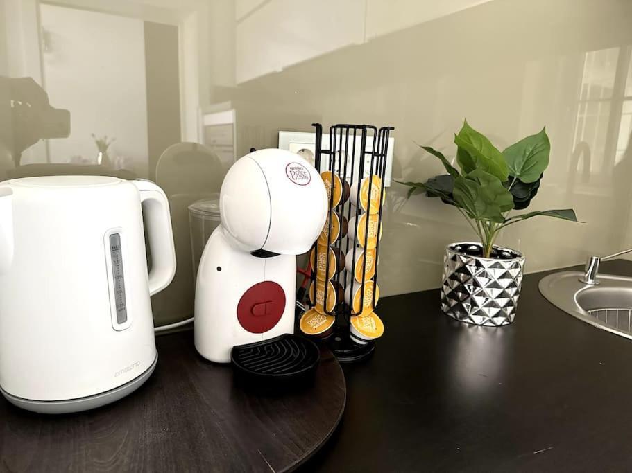 Luxury Flat In Downtown With Free Parking Lejlighed