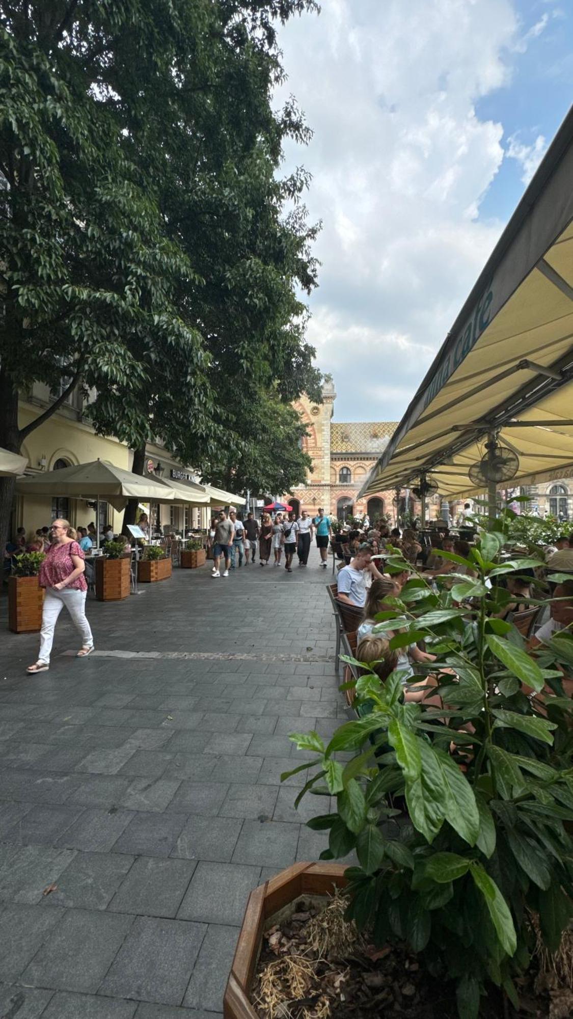 Appartamento Danube Vista *