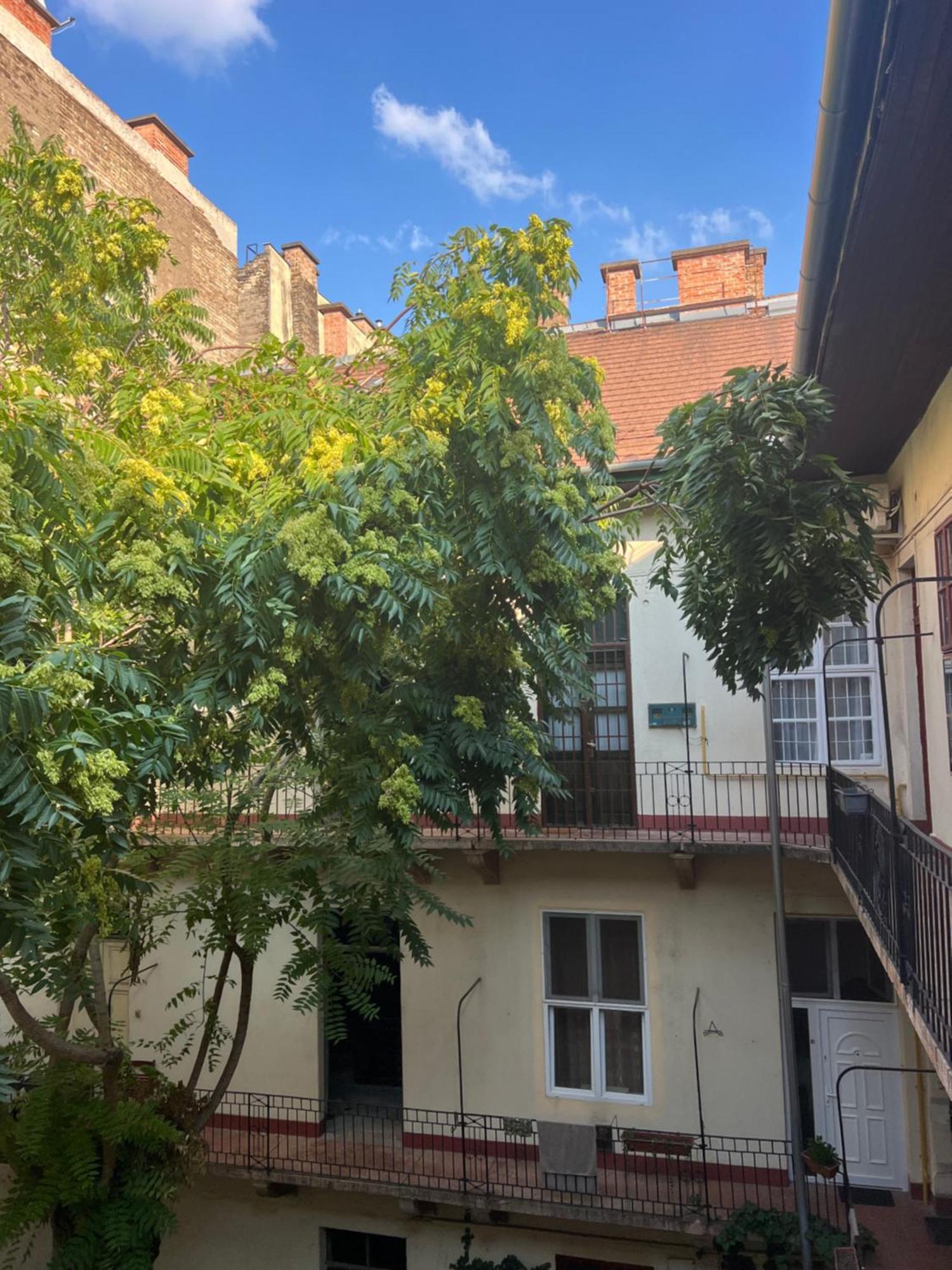 Fabolous Flat In The City Center