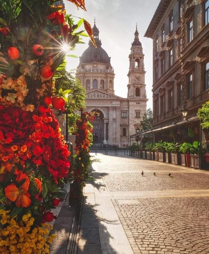 Downtown Elegance