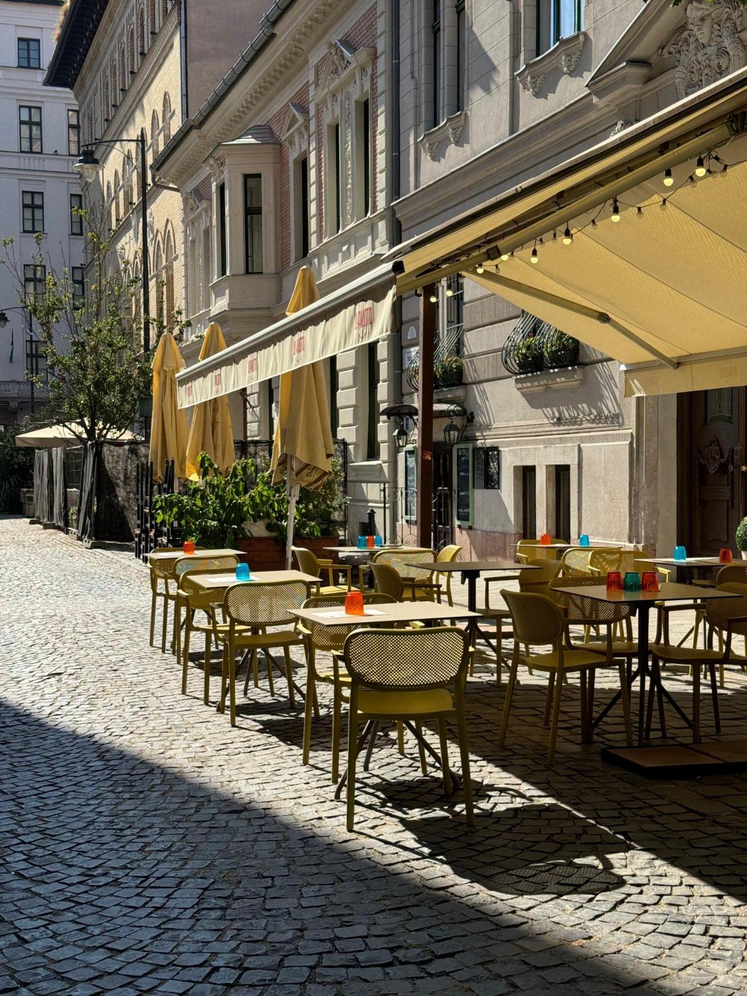 Appartement Prime Location & Cozy 3bedrm *