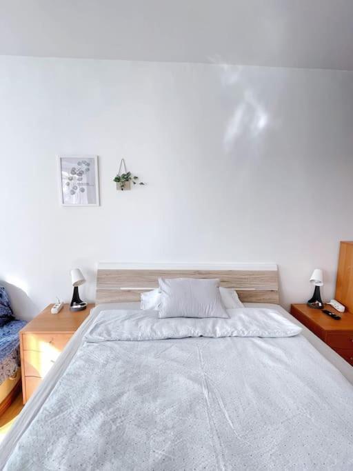 Appartamento Comfort -2bedroom,central,balcony,elevator,ac Budapest