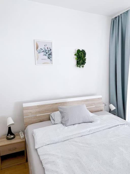 Appartamento Comfort -2bedroom,central,balcony,elevator,ac *