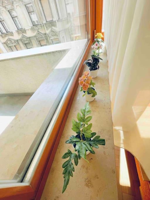 Comfort -2bedroom,central,balcony,elevator,ac Appartamento Budapest