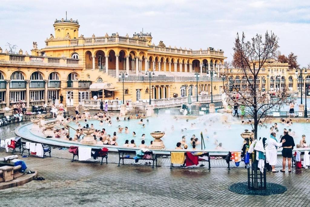 Wellness Wonderland Garden, Sauna, Jacuzzi In Cbd Budapest
