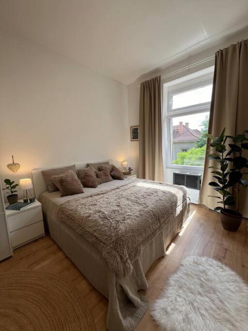 Apartamento Ilka *