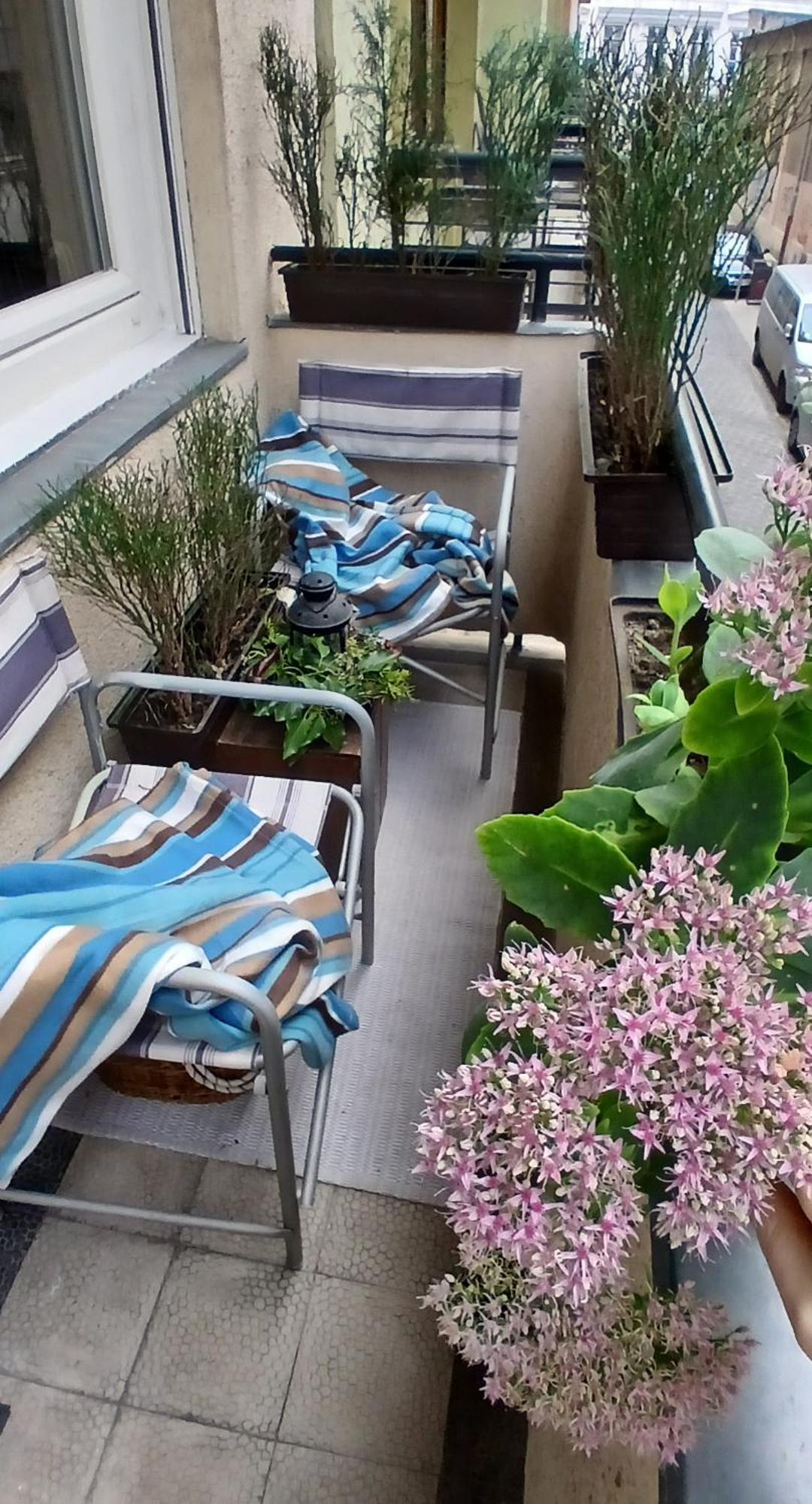Dinerdowntown With Free Garage Appartement *