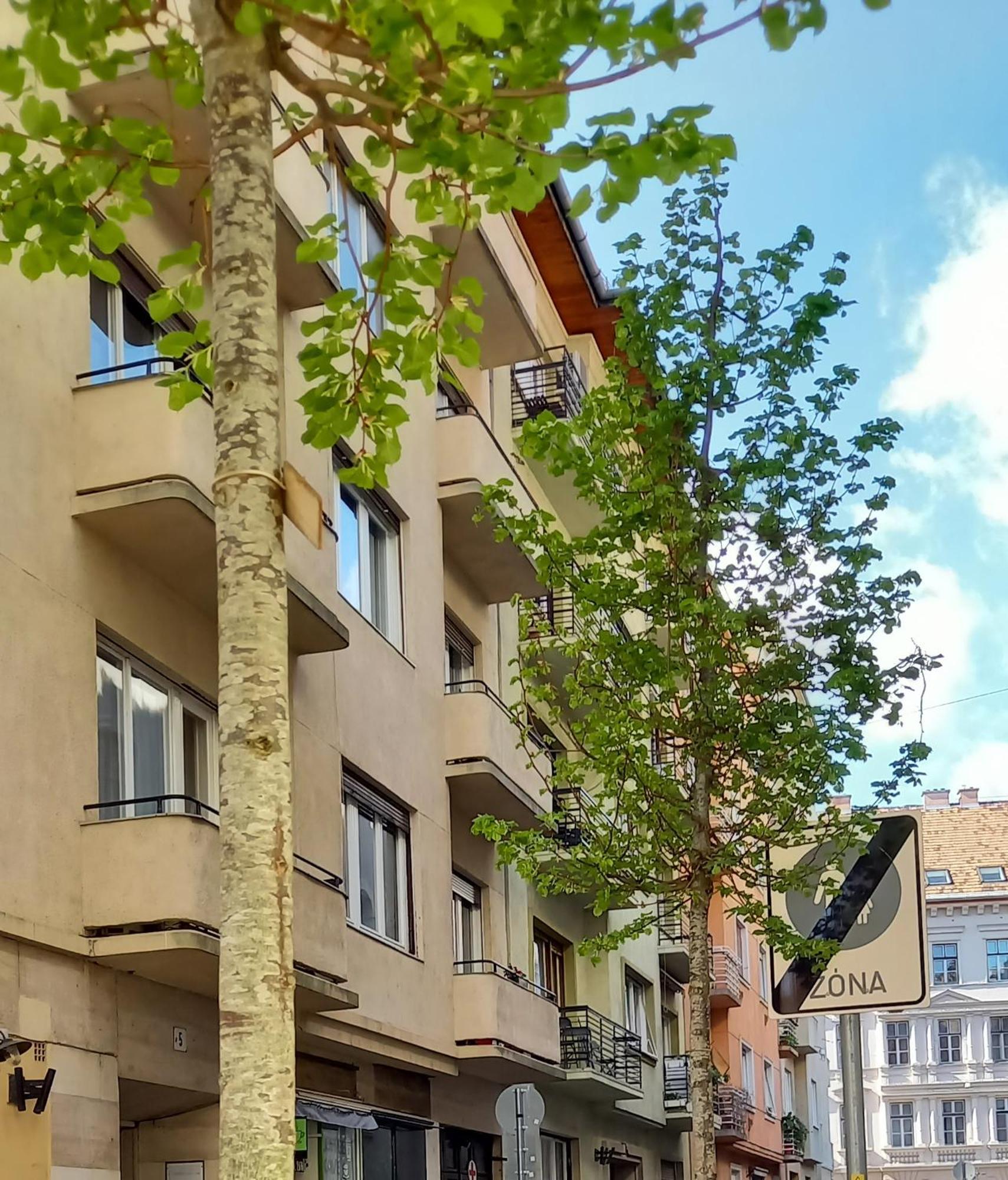 Appartement Dinerdowntown With Free Garage Boedapest