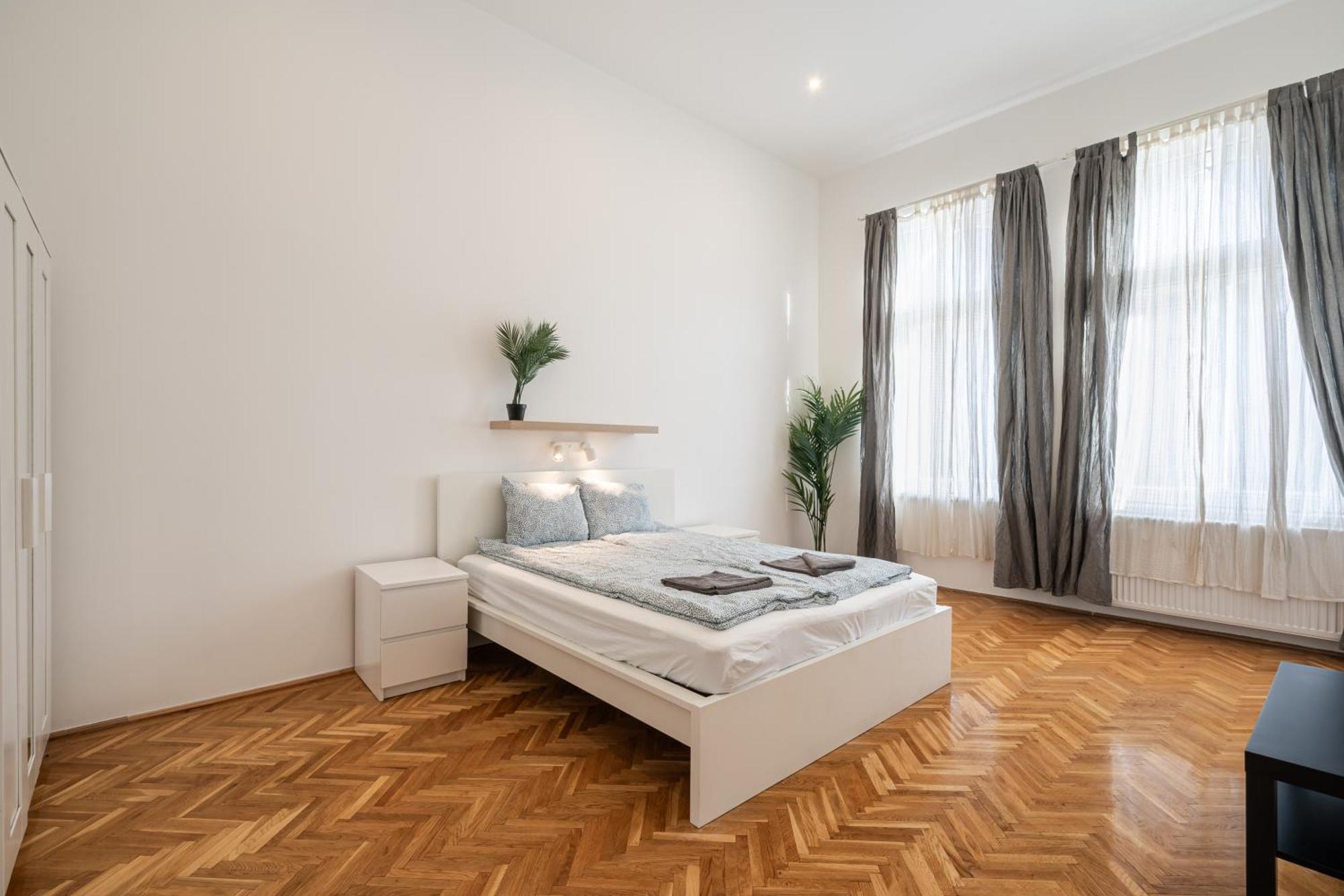 Luxurious Downtown Family Apartment Budapest
