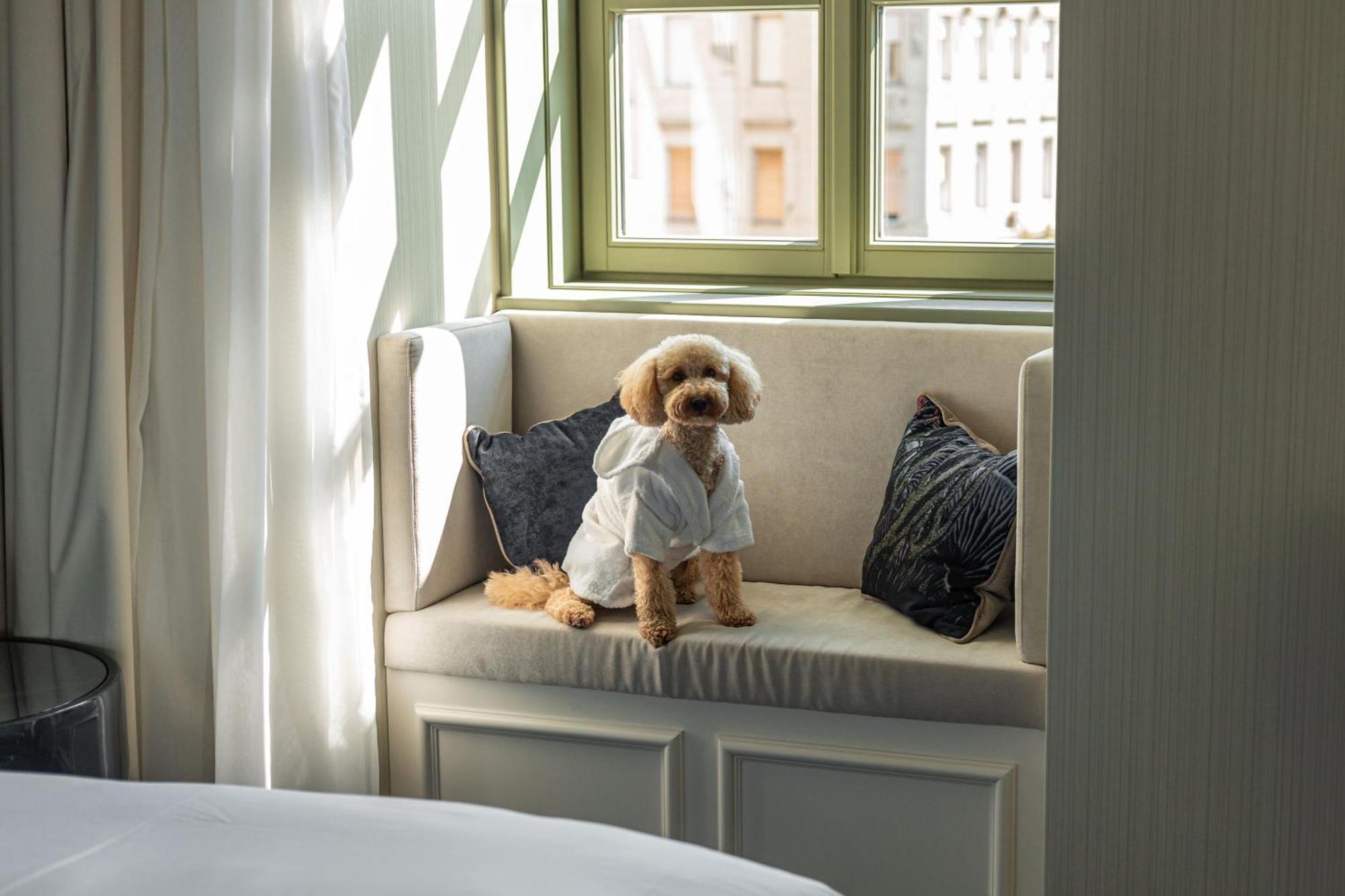 Kimpton Bem By Ihg Budapest