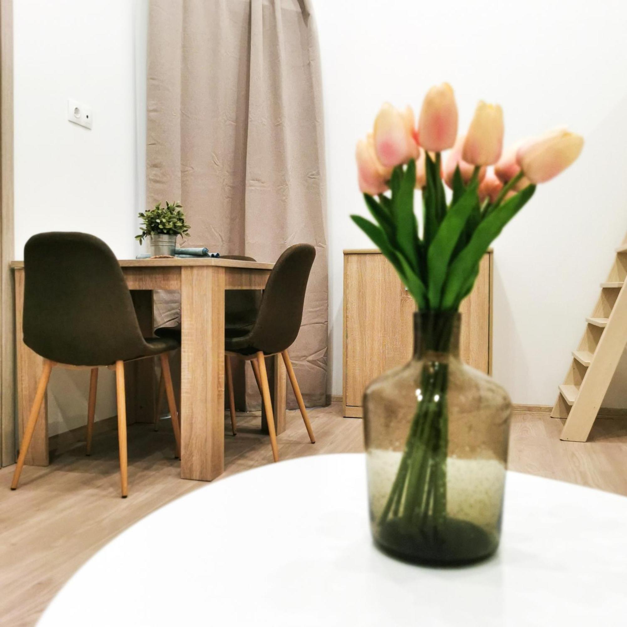 Apartman Szep Small *