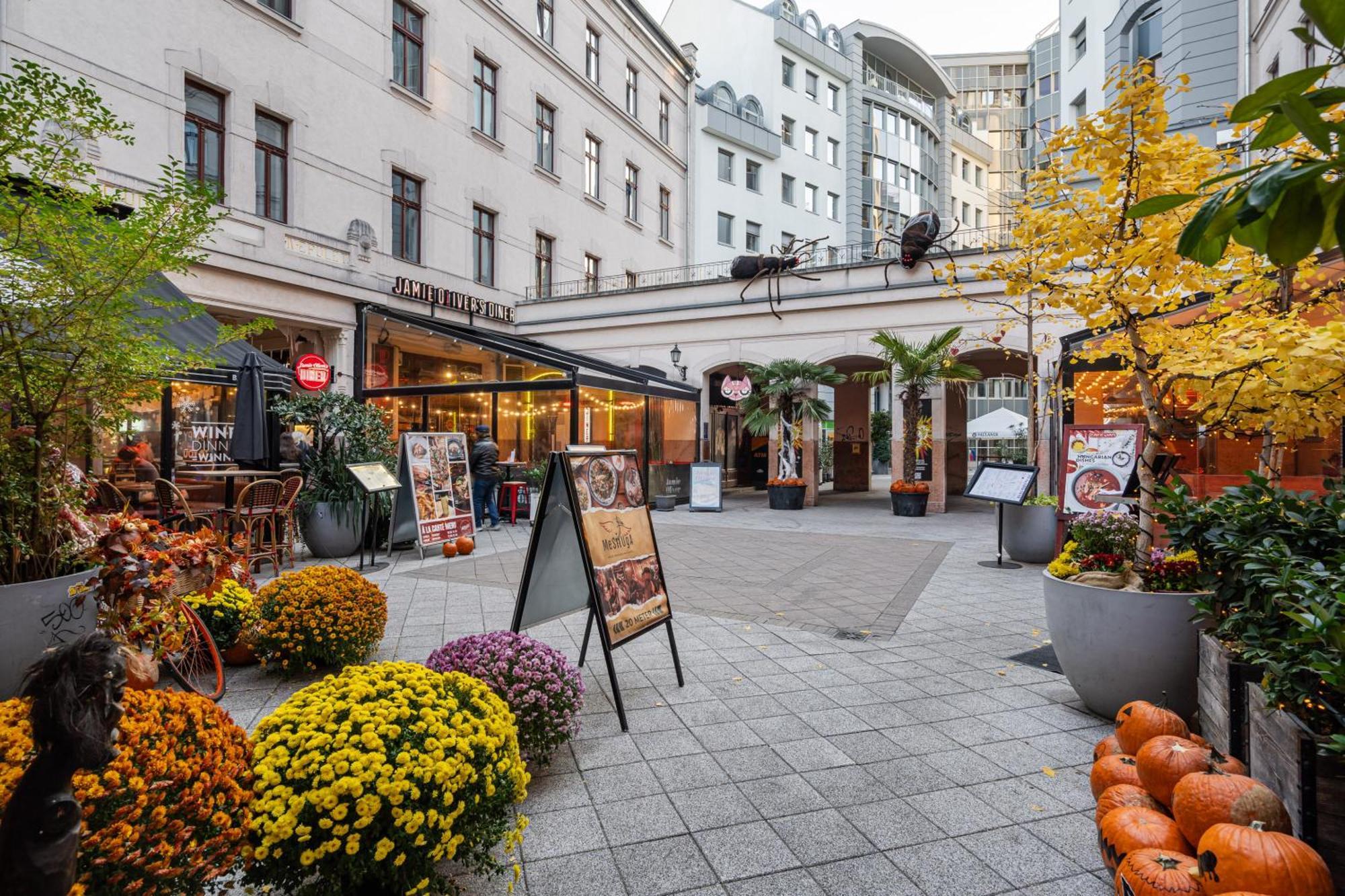 Dreamy Destiny Apartmán Budapešť