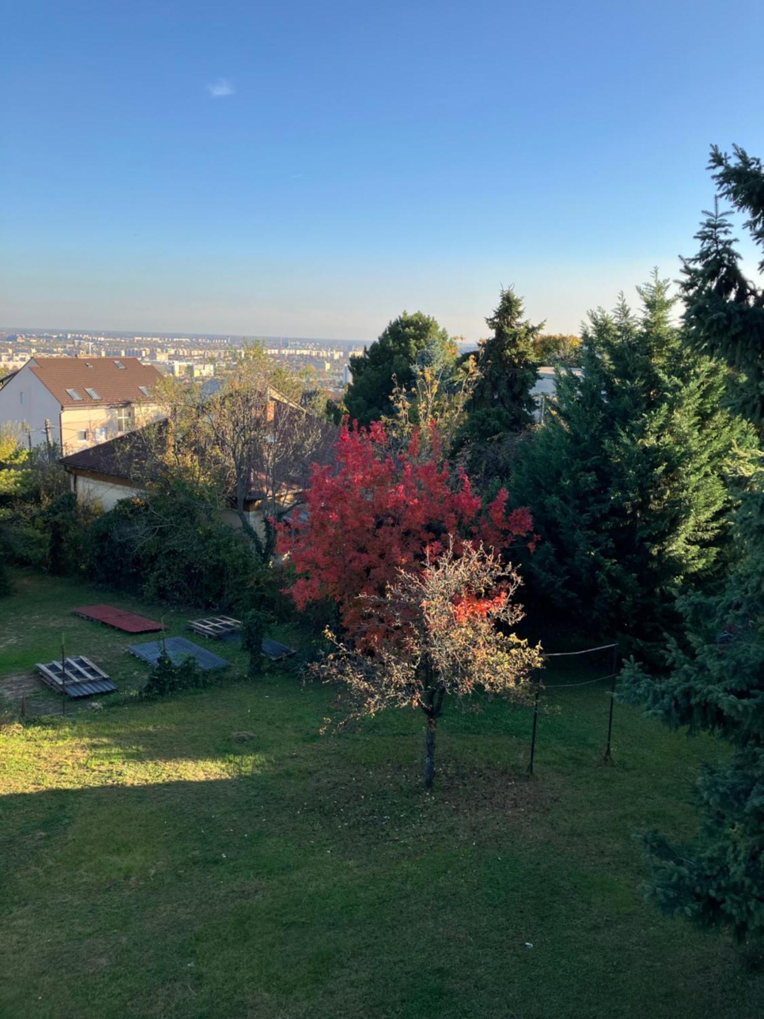 Appartamento Retifarkas