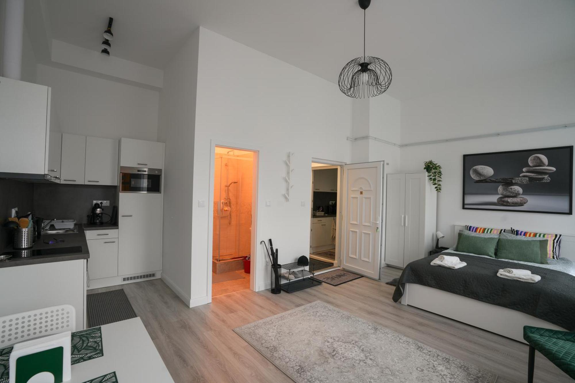 Apartment Beautiful Newly Refurbished Studio,fully Equipped Walking Distance To The Park Where Will Find The World Famous Szechenyi Thermal Bath Spa, Museums , And The Capital Circus , Ac, Smart Tv, High Speed Internet *