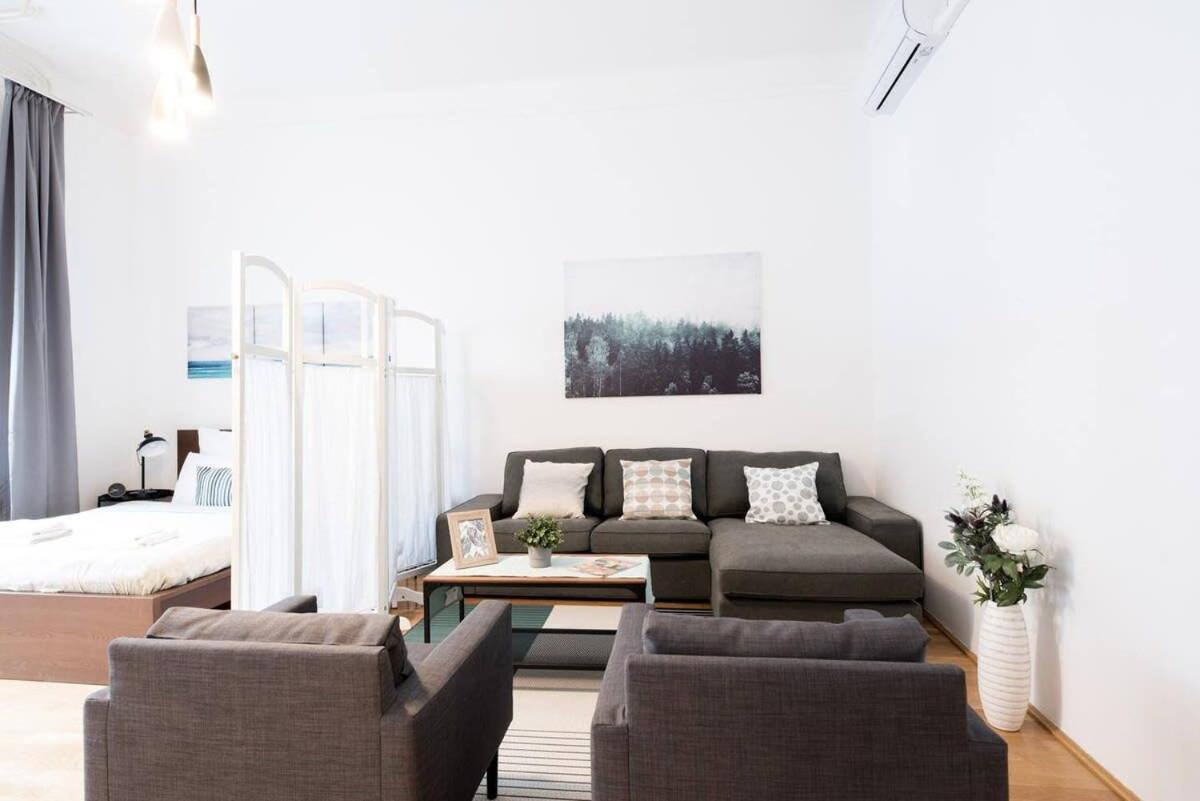 Ultra Spacious In Vaci Street Apartman Budapest