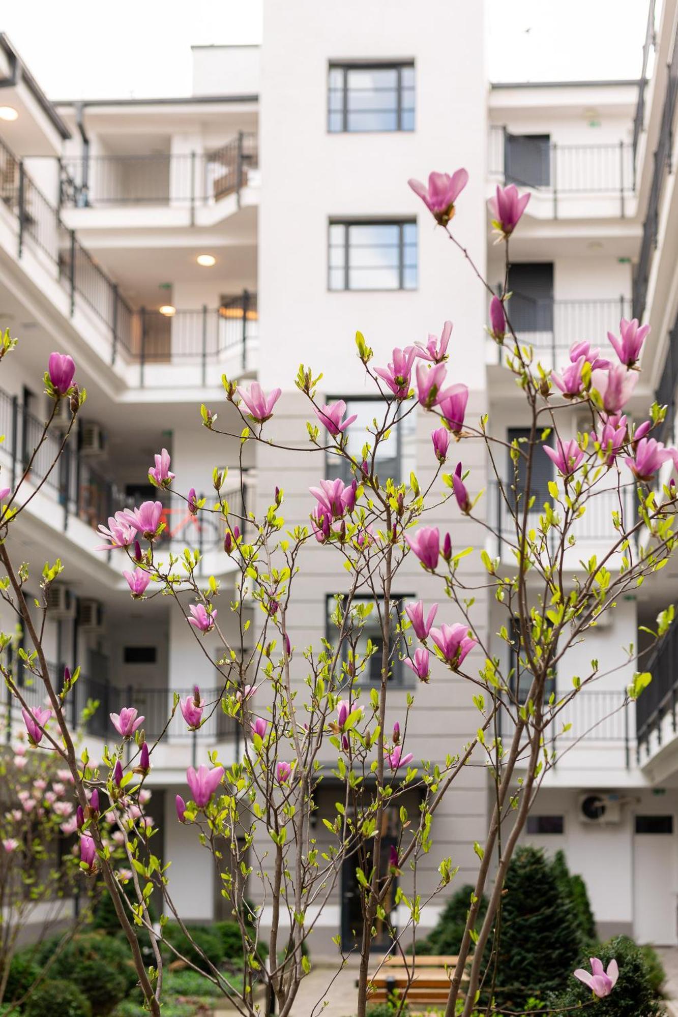 Magnolia Deluxe Apartamento