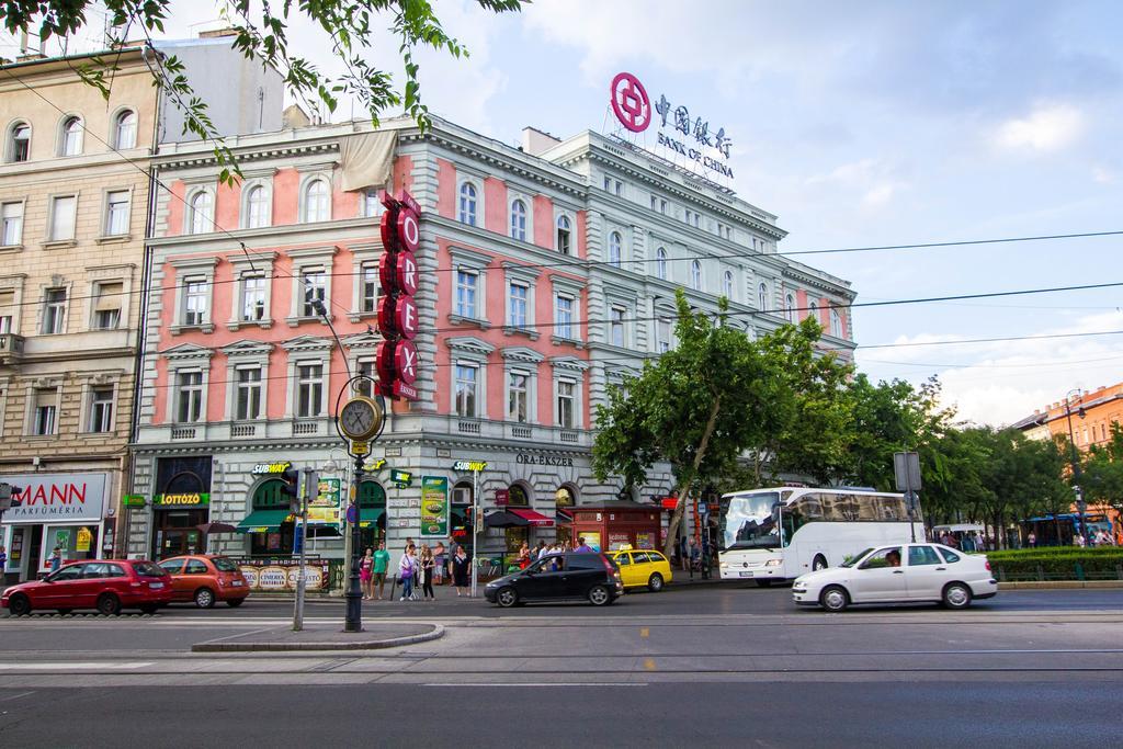 Auberge de jeunesse Avenue