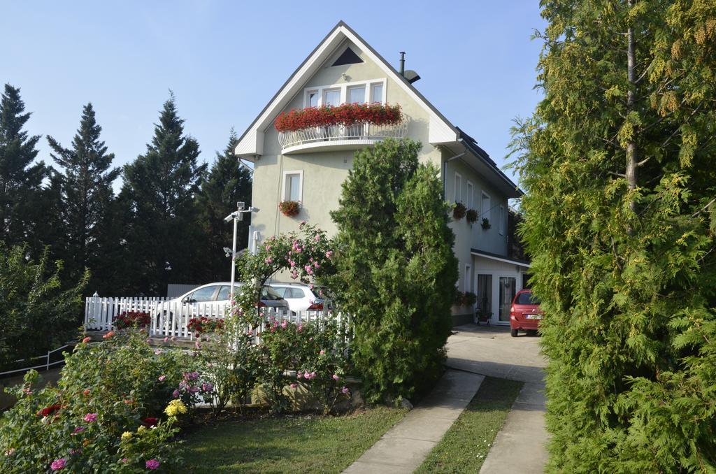 Ida Panzio Budapest