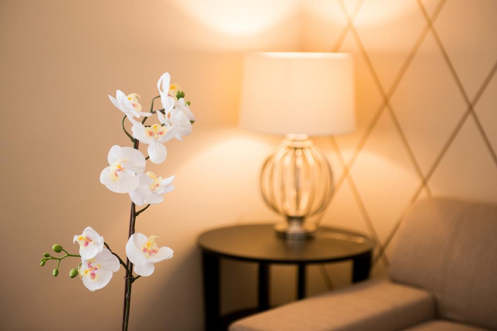 Apartament Executive