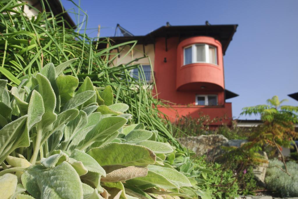 Hotel Szonyi Garden Pest Budapest