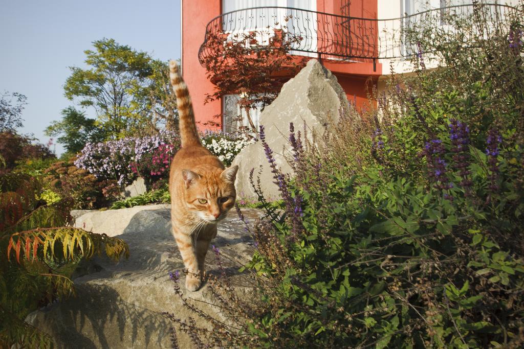 Szonyi Garden Pest Hotel Budapest