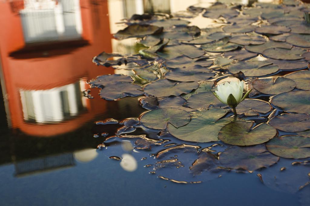 Szonyi Garden Pest 3* Budapest