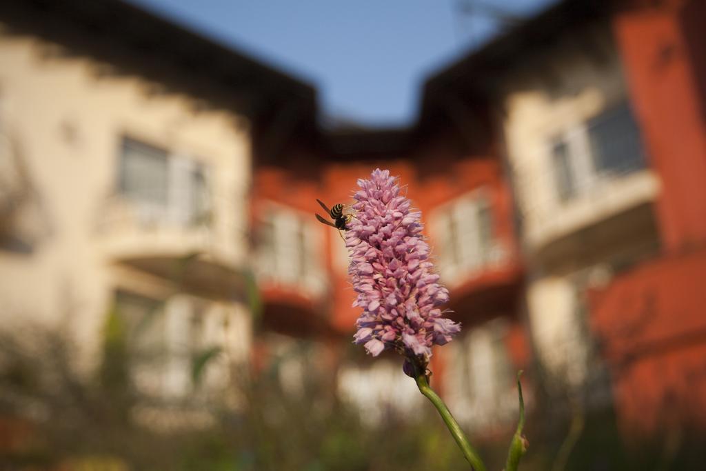 Hotel Szonyi Garden Pest 3*
