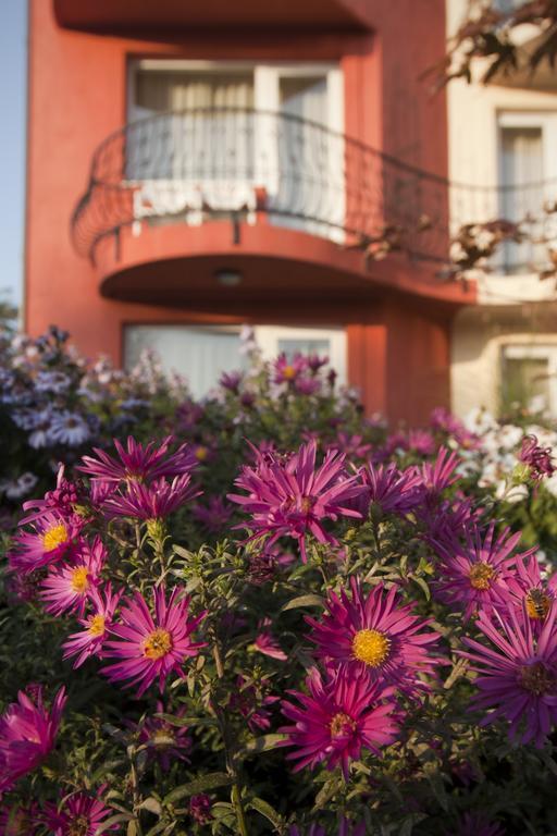 Szonyi Garden Pest Hotel 3*
